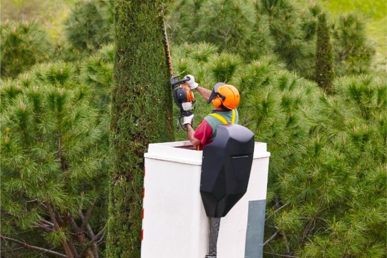 equipped worker pruning a tree on a crane gardeni 2023 05 25 22 55 37 utc